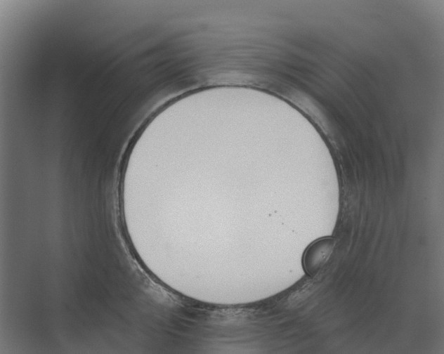 X0000073971000200609111737