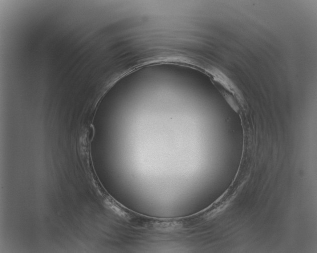 X0000073971001200609111737