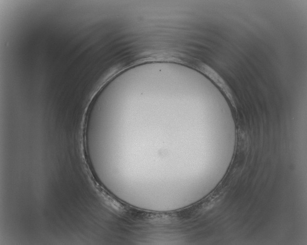 X0000073971002200609111737