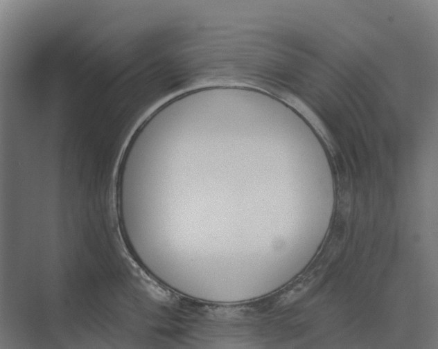 X0000073971004200609111737