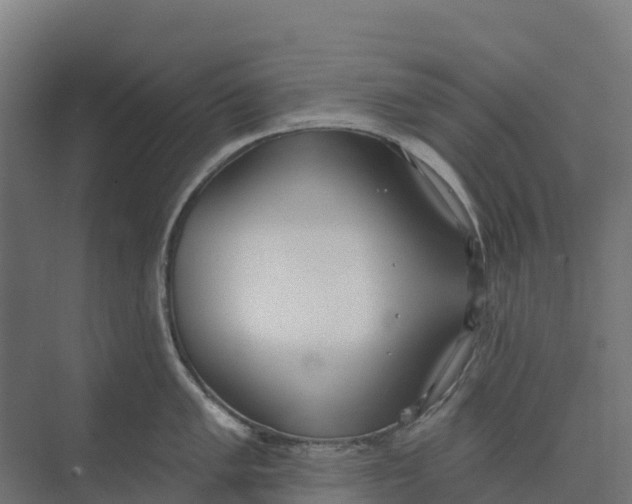 X0000073971005200609111737