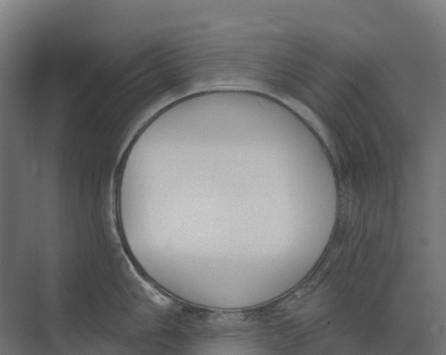 X0000073971006200609111737