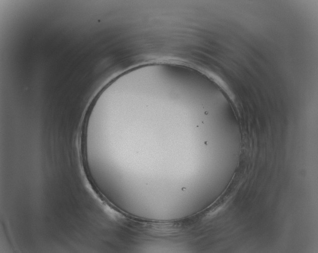 X0000073971007200609111737