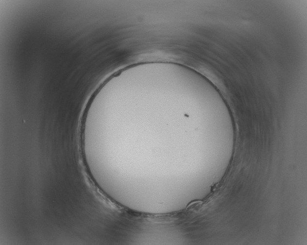 X0000073971008200609111737