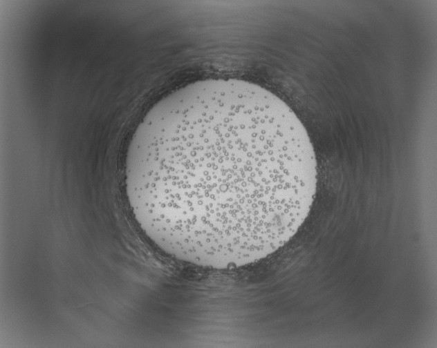 X0000073971009200609111736