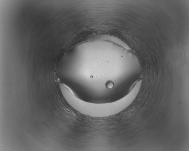 X0000073971010200609111736