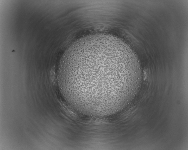 X0000073971011200609111736