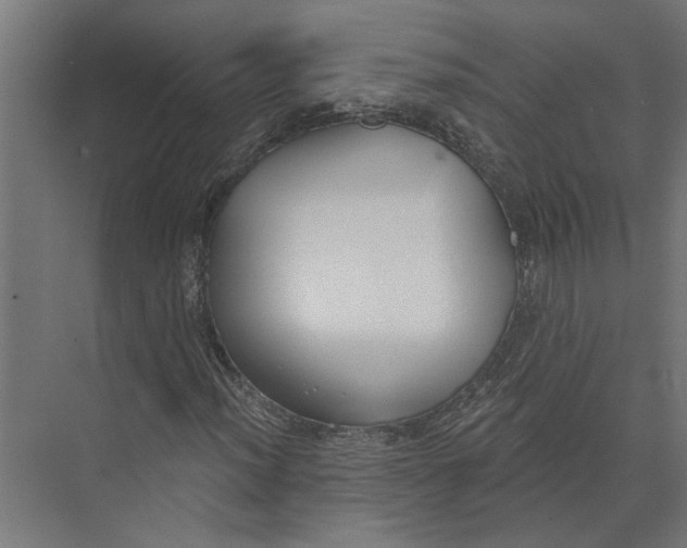 X0000073971012200609111736