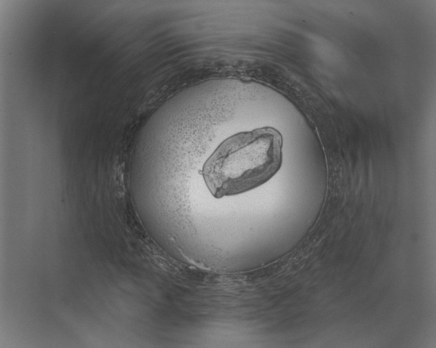 X0000073971013200609111736