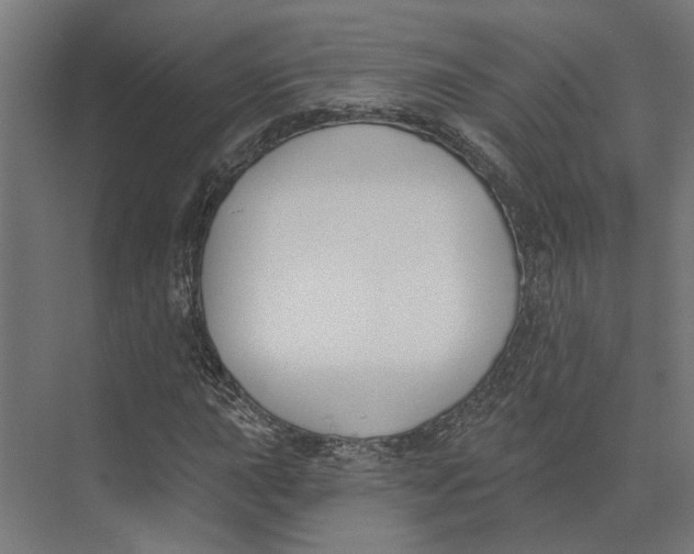 X0000073971015200609111736