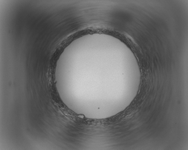 X0000073971016200609111736