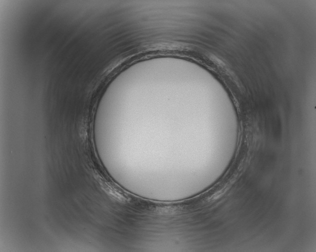 X0000073971017200609111736