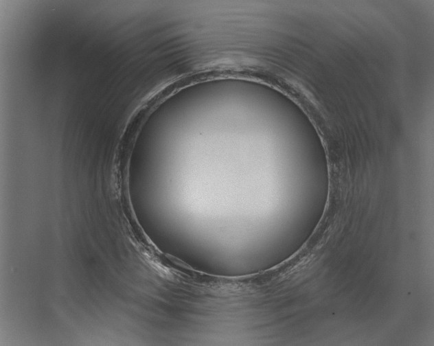 X0000073971018200609111736