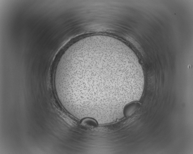 X0000073971023200609111736