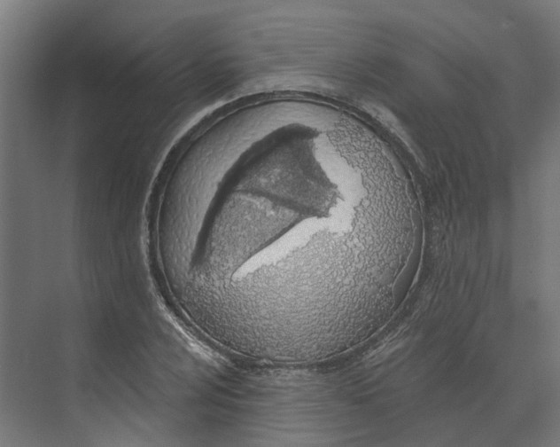 X0000073971024200609111736