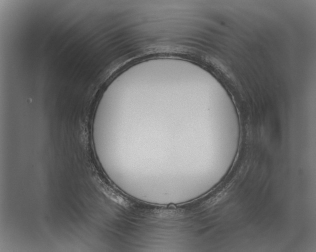 X0000073971025200609111736