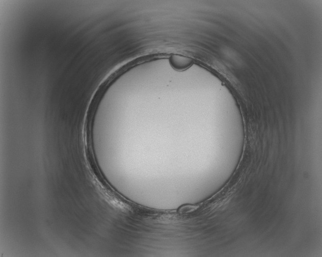 X0000073971028200609111736