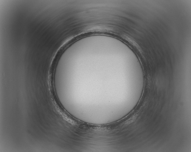 X0000073971029200609111736