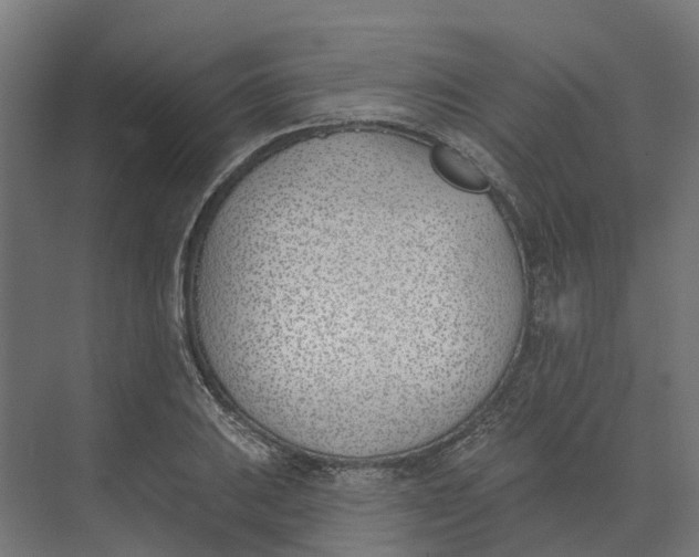 X0000073971031200609111737