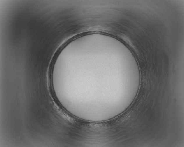 X0000073971032200609111737