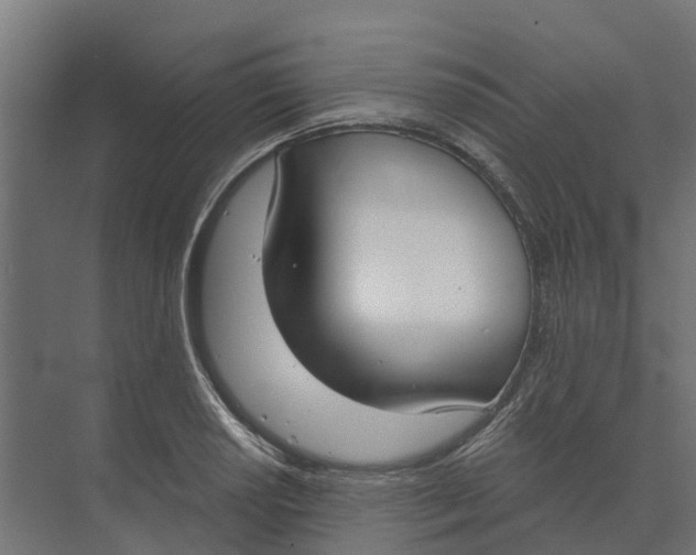 X0000073971034200609111737