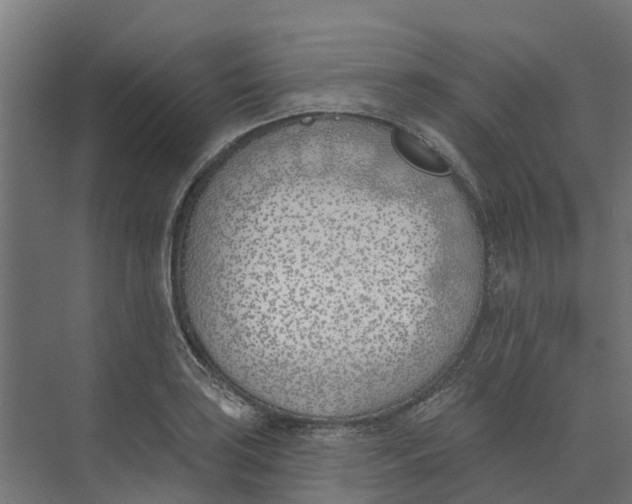 X0000073971035200609111737