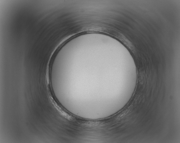 X0000073971036200609111737