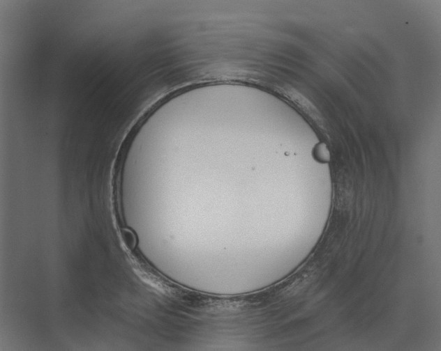 X0000073971039200609111737