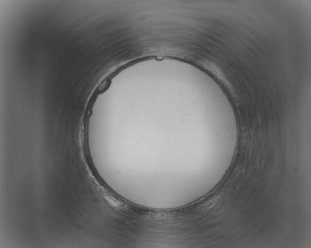 X0000073971040200609111737