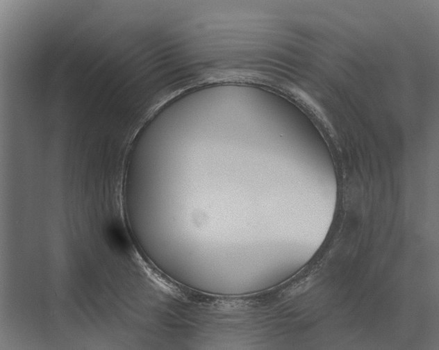 X0000073971041200609111737