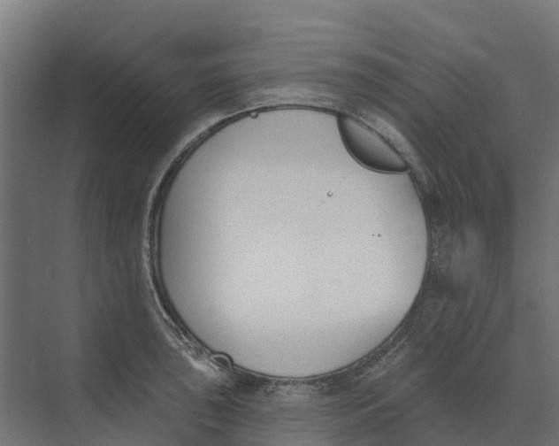 X0000073971043200609111737