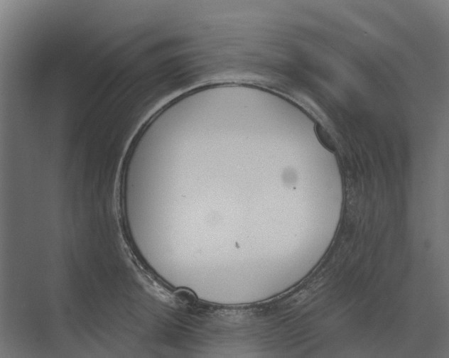 X0000073971044200609111737