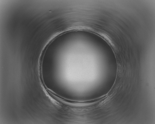 X0000073971046200609111737