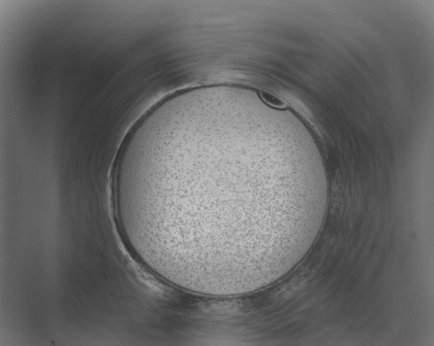 X0000073971047200609111737