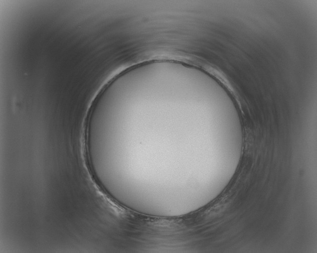 X0000073971048200609111737