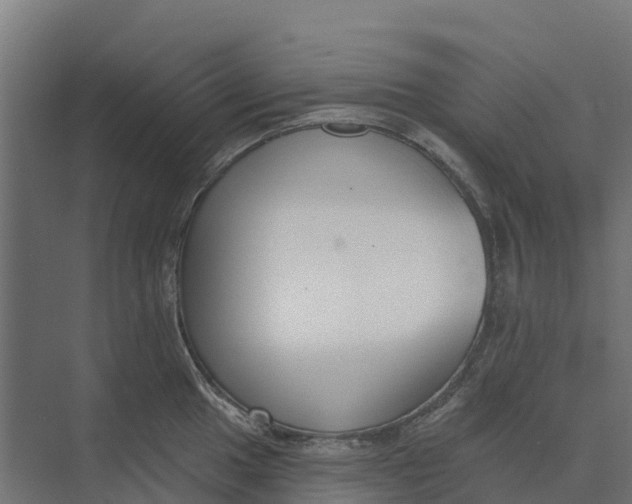 X0000073971049200609111737