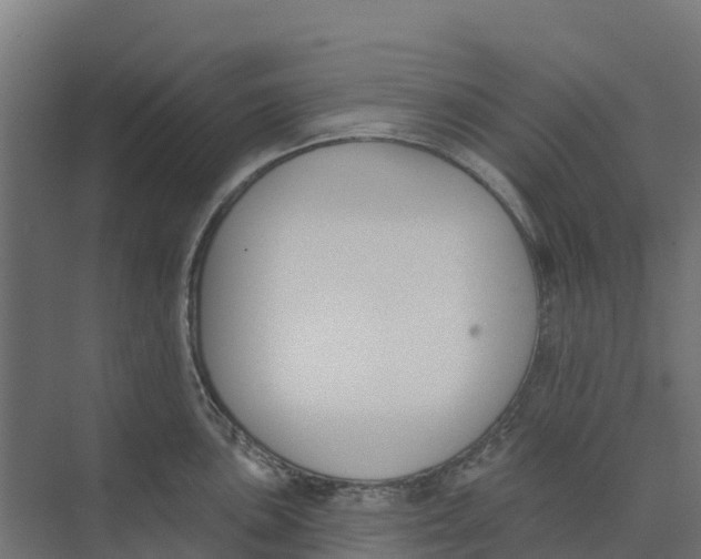 X0000073971051200609111737