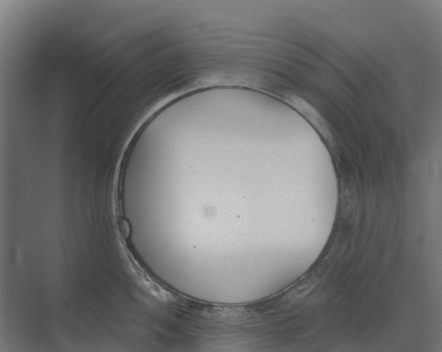 X0000073971052200609111737