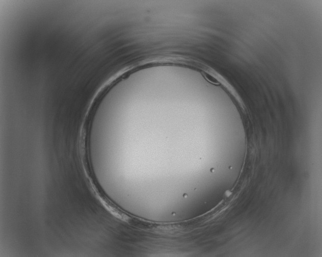 X0000073971053200609111737