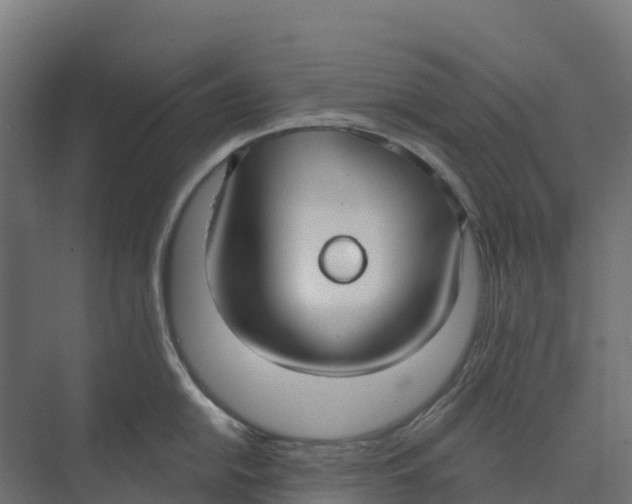 X0000073971054200609111737