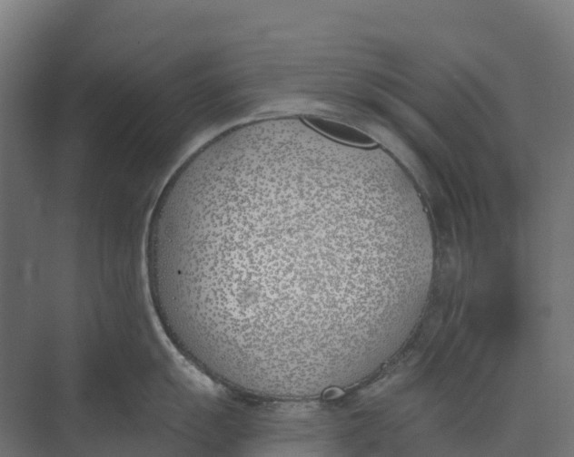 X0000073971055200609111737