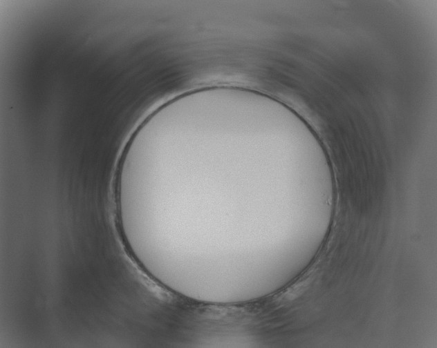 X0000073971056200609111737