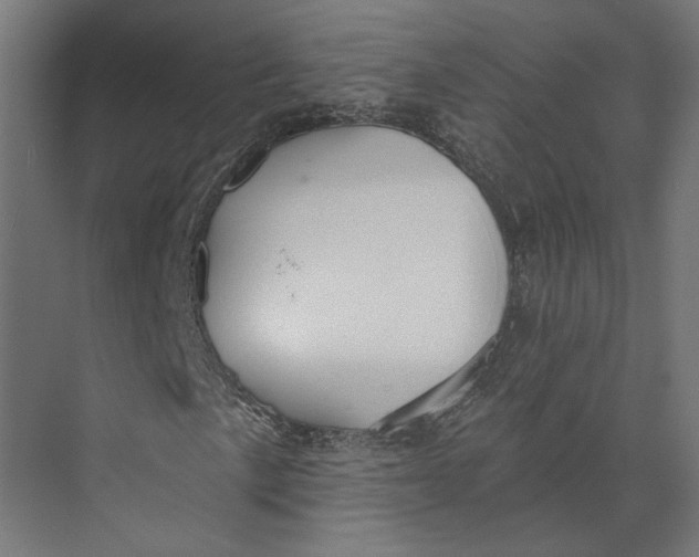 X0000073971057200609111736