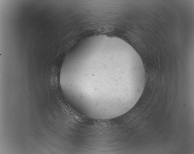 X0000073971058200609111736