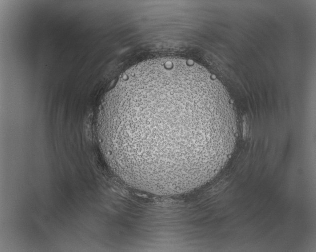 X0000073971059200609111736