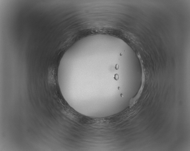 X0000073971060200609111736