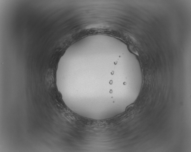 X0000073971062200609111736