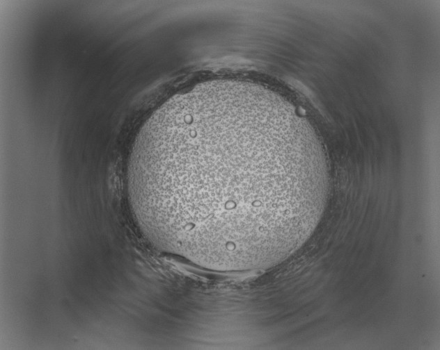 X0000073971063200609111736