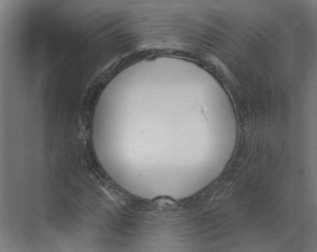 X0000073971064200609111736