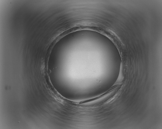 X0000073971065200609111736